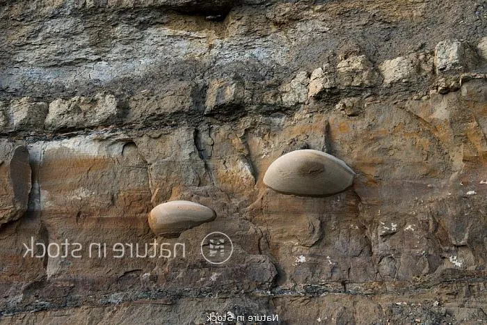 Cementación del Suelo